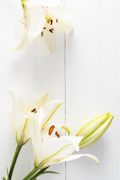 Beautiful white lilies on a white wooden background made of boards frame space for text Vertical flat view layout for design postcard