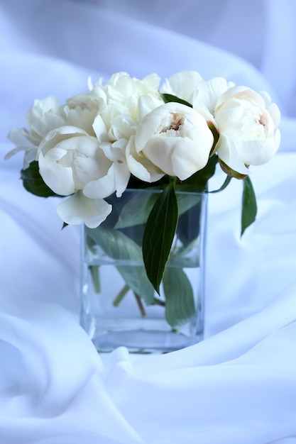 Beautiful white peonies in vase on fabric background