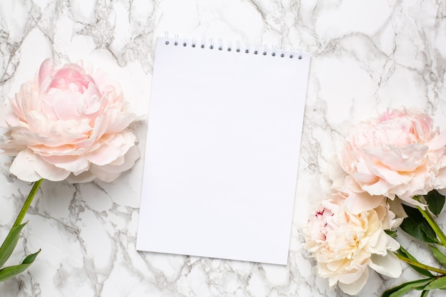 Beautiful white peony flower and notebook on marble background