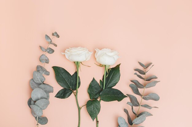 beautiful white rose flower with branches of eucalyptus on pastel pink holiday floral background