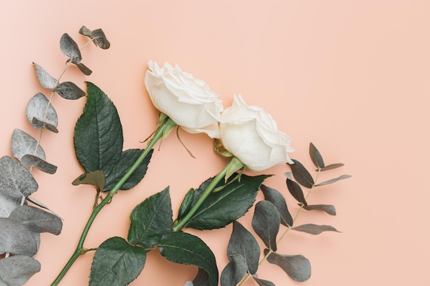 beautiful white rose flower with branches of eucalyptus on pastel pink holiday floral background