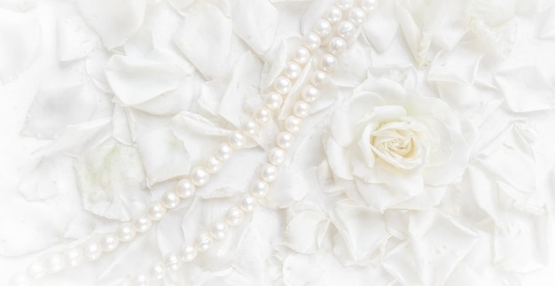 Beautiful white rose and pearl necklace on a background of petals Ideal for greeting cards