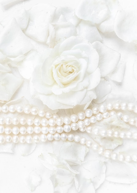 Красивая белая роза и жемчужное ожерелье на фоне лепестков Идеально подходит для поздравительных открыток