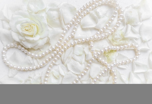 Beautiful white rose with petals and pearl necklace on white background ideal for greeting cards for...