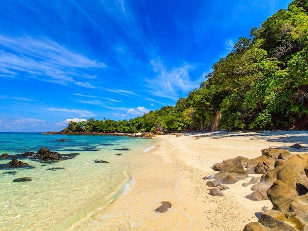 Beack tropicale della bella sabbia bianca con il mare ed il cielo blu