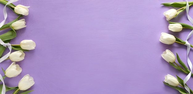 紫の美しい白いチューリップ