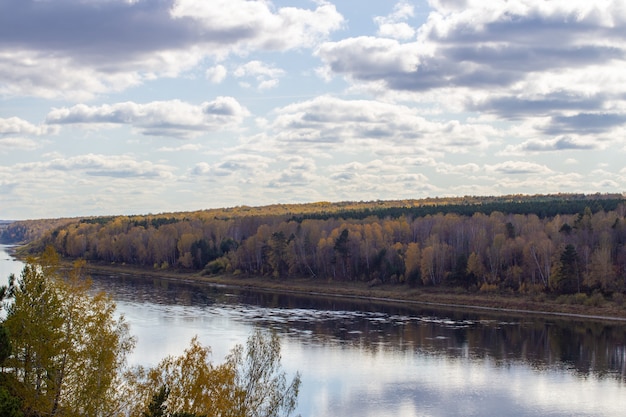 静かで平和な場所にある秋の森の美しい広い川