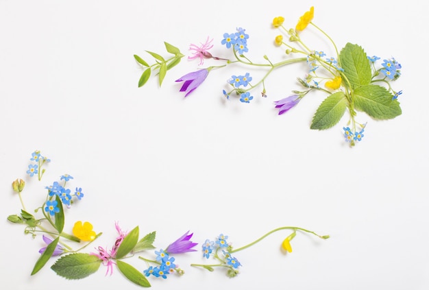 Beautiful wild flowers on white wall