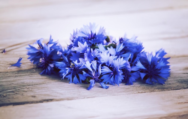 Beautiful wildflowers cornflowers