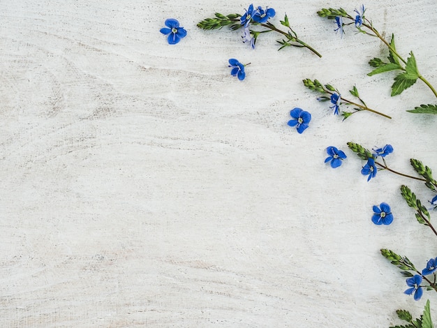 Beautiful wildflowers lying on a wooden table