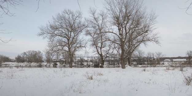 Beautiful winter countryside landscape with a lot of snow