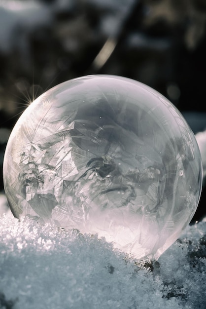 Photo a beautiful winter day and frozen bubble in garden