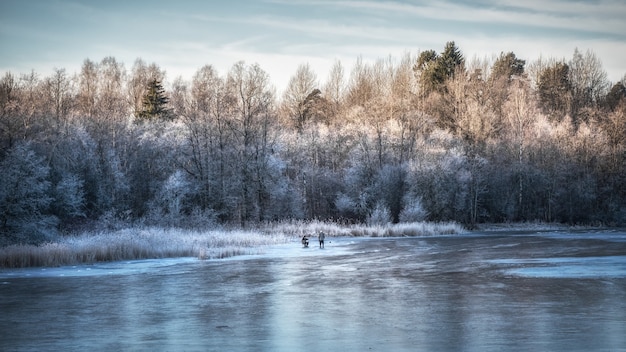 얼음 낚시와 함께 아름 다운 겨울 날입니다. 얼어 붙은 호수와 프 로스트에 흰색 나무와 겨울 풍경의 파노라마.