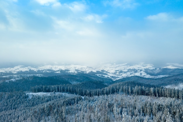 Beautiful winter forest and the road