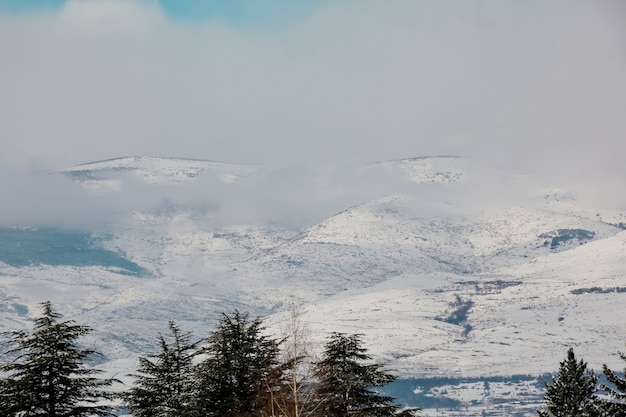 Beautiful winter landscape glowing by sunlight in the morning covered with snow dramatic sky