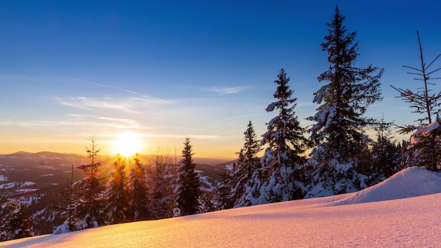 Beautiful winter landscape in the mountains rising sun breaks\
through the snow covered branches of the fir tree ground and trees\
covered with thick layer of fresh fluffy snow