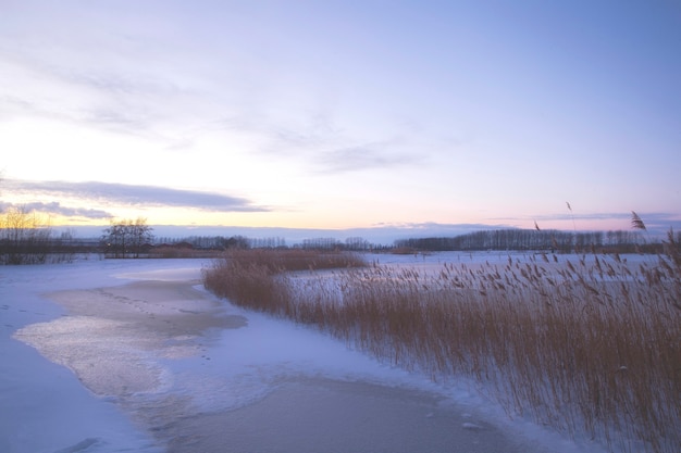 Beautiful winter landscape at sunset with fog and snow covering farmland and river netherland