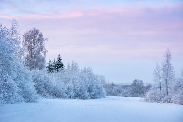 Beautiful winter landscape with field of white