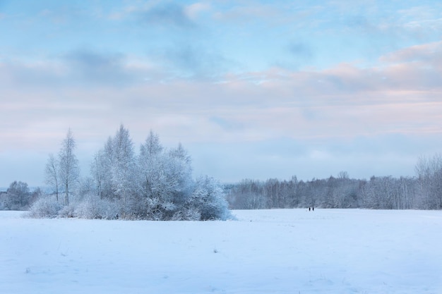 Beautiful winter landscape with field of white