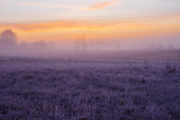 Beautiful winter landscape with fog and frost