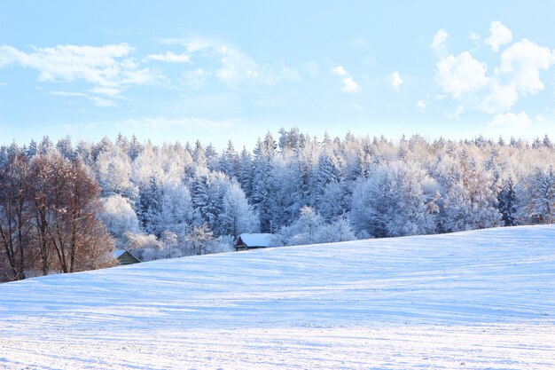Photo beautiful winter landscape with forest, trees