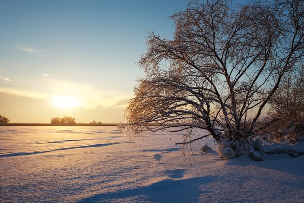 Beautiful winter landscape with frozen lake, big tree and sunset sky