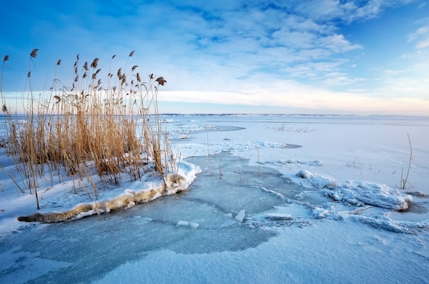 Красивый зимний пейзаж с замерзшим озером. Композиция природы.