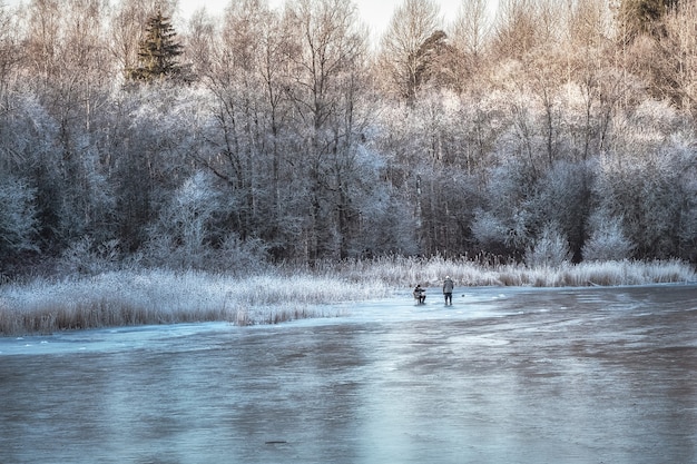 Beautiful winter landscape with a frozen lake and white trees in