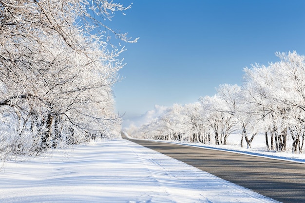 Beautiful winter landscape with road and snow-covered trees