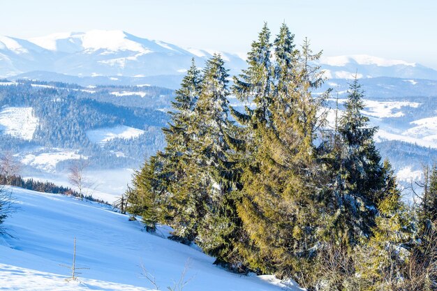 雪に覆われた木々と美しい冬の風景冬の山々