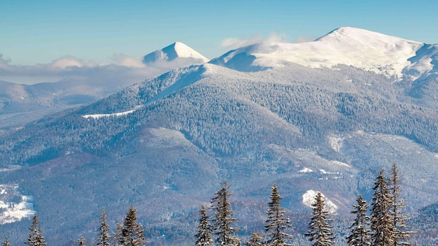 Beautiful winter landscape with snow covered trees Winter mountains