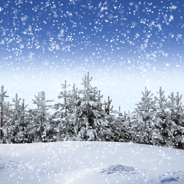 Beautiful winter landscape with snow covered trees