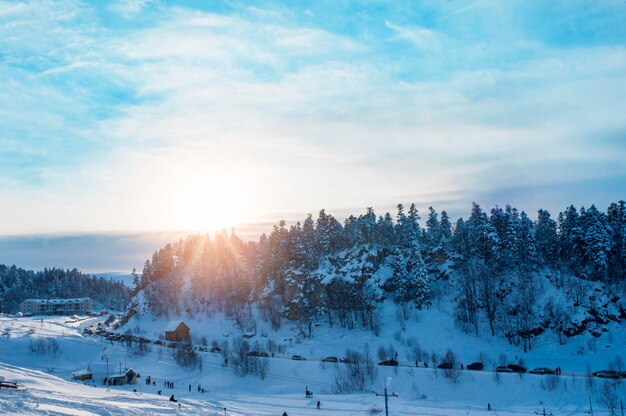 Bellissimo paesaggio invernale con alberi innevati