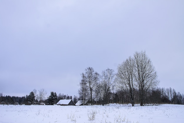 田園地帯の雪の中で木々と美しい冬の風景