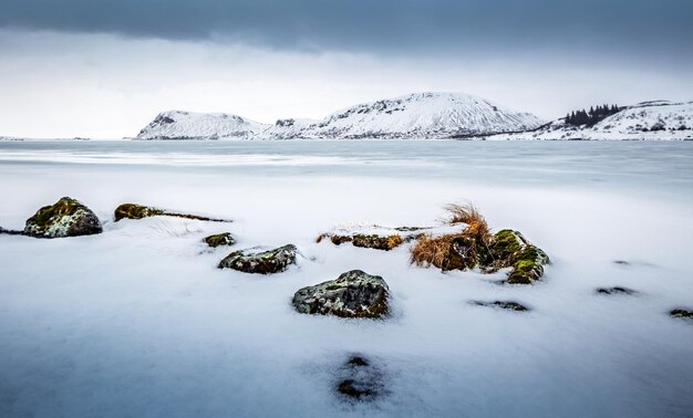 Beautiful winter landscape