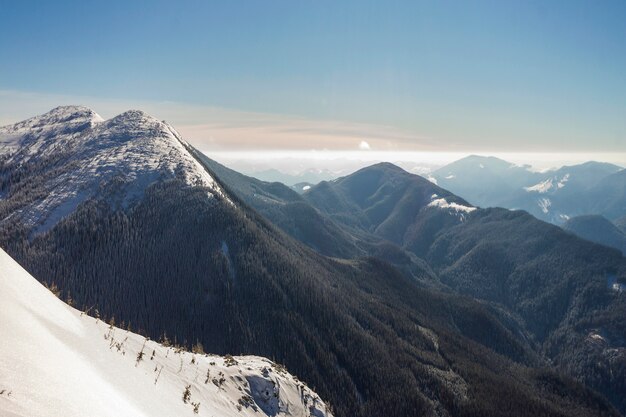 Splendido paesaggio invernale.