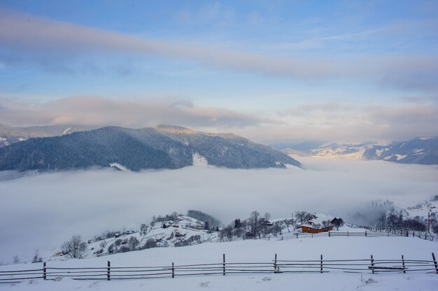 Beautiful winter landscape