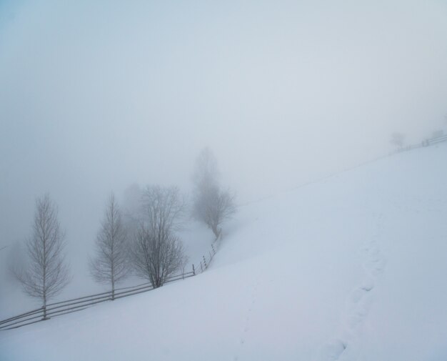 Beautiful winter landscape