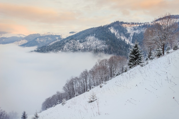 Splendido paesaggio invernale