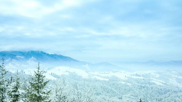 美しい冬の風景