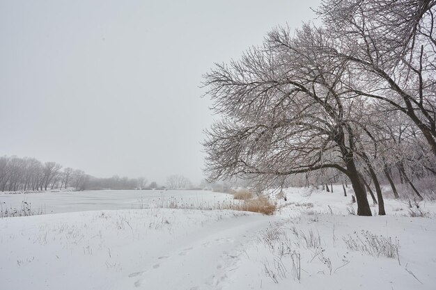 Beautiful winter landscape