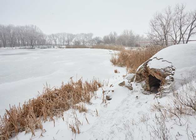 Beautiful winter landscape