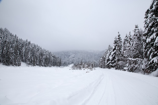 Photo beautiful winter mountain landscape