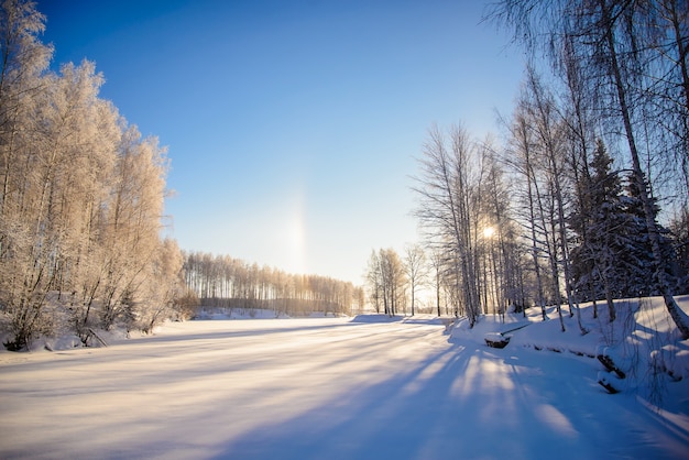 青い空のクリスマスカードのための晴れた天気の雪に覆われた木々と美しい冬の写真