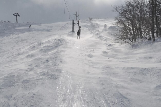 氷雪と強風のある美しい冬の風景