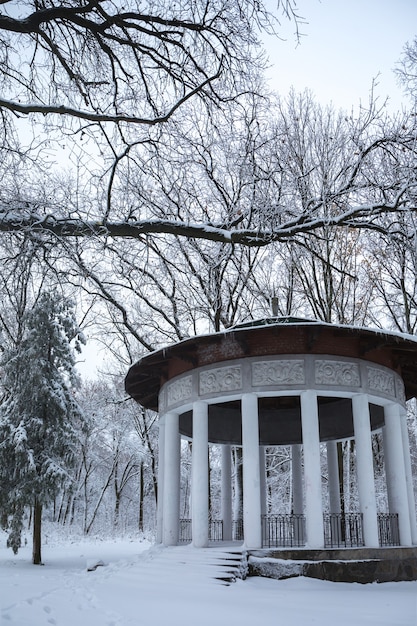 Beautiful winter snowy landscape in the park