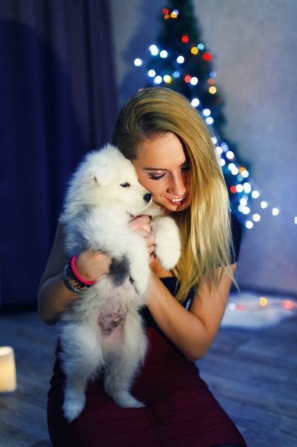 Photo beautiful with samoyed husky dog in christmas decorations