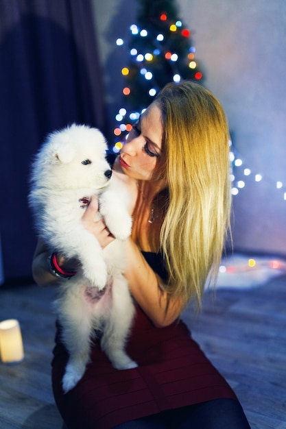 クリスマスの装飾でサモエドハスキー犬と美しい