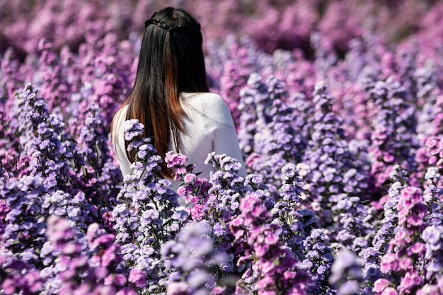 Photo beautiful woman in beautiful morning flowers margaret in the garden are blooming