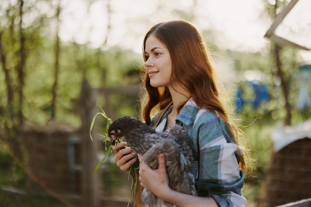 A beautiful woman farmer takes care of the chickens on her farm and holds a gray chicken smiling The concept of organic life and caring for nature